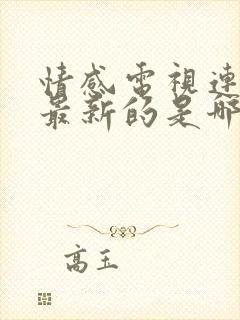 情感电视连续剧最新的是哪个