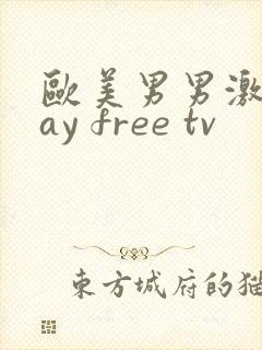 欧美男男激情gay free tv