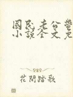 国民老公带回家小说全文免费阅读