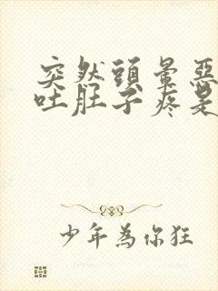 突然头晕恶心想吐肚子疼是怎么回事