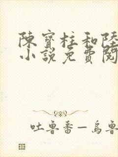 陈宝柱和陆冰嫣小说免费阅读
