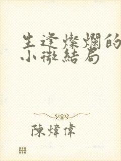 生逢灿烂的日子小微结局