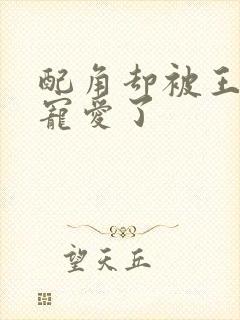 配角却被王子给宠爱了