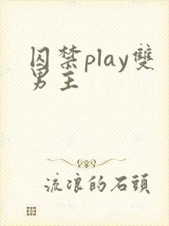 囚禁play双男主