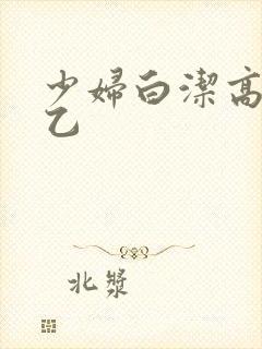 少妇白洁高义王乙