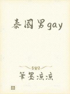 泰国男gay