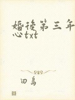 婚后第三年她变心txt