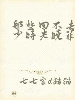 那些回不去的年少时光晓菲结局