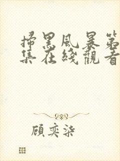 扫黑风暴第19集在线观看免费完整版