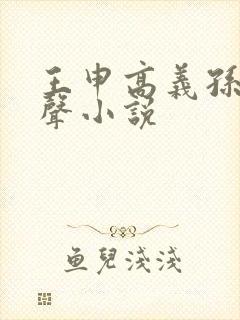 王申高义孙倩有声小说封面