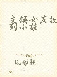交换女友故事系列小说