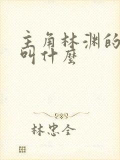 主角林渊的小说叫什么