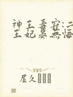 神王毒宠:二嫁王妃晏无悔