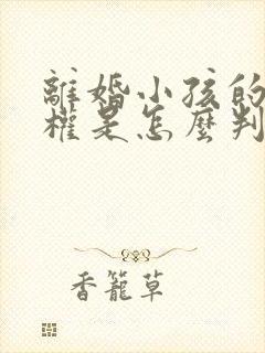 离婚小孩的抚养权是怎么判定的