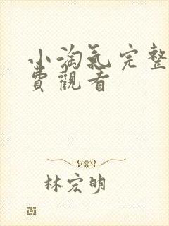 小淘气完整版免费观看