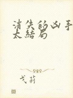 消失的凶手许太太结局