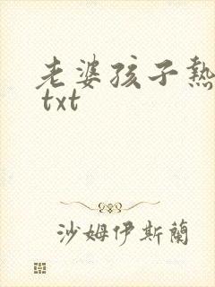 老婆孩子热炕头 txt封面