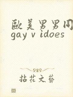 欧美男男同性恋gayⅴidoes