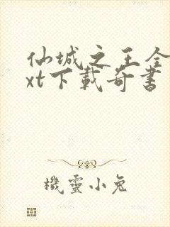 仙城之王全本txt下载奇书网封面