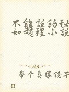 不能说的秘密林如赵程小说免费完结封面