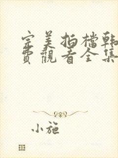 完美拍档韩剧免费观看全集在线观看