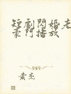 短剧闪婚老公是豪门播放封面