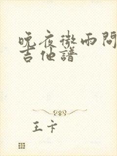 晚夜微雨问海棠吉他谱