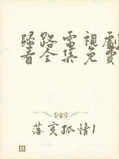 归路电视剧在线看全集免费高清