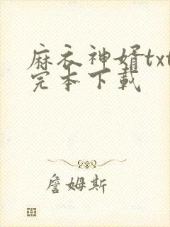麻衣神婿txt完本下载