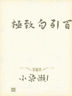 极致勾引百合封面