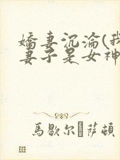 娇妻沉沦(我的妻子是女神