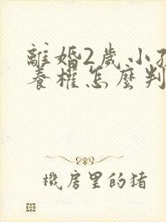 离婚2岁小孩抚养权怎么判定