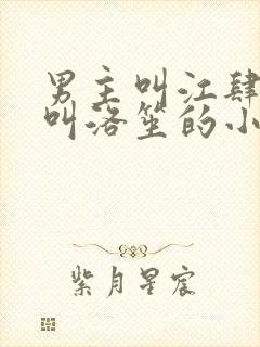 男主叫江肆女主叫洛笙的小说