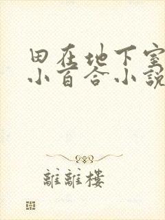 田在地下室调教小百合小说封面