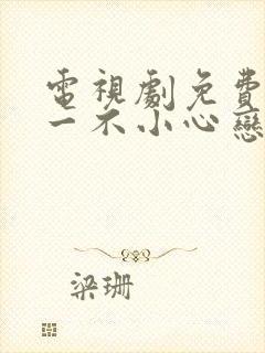 电视剧免费全集一不小心恋爱了封面