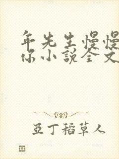 年先生慢慢喜欢你小说全文免费阅读