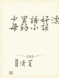 少男诱奸漂亮岳母的小说