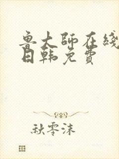 鲁大师在线播放日韩免费封面