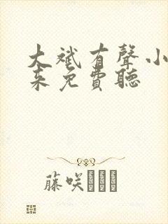 大斌有声小说剑来免费听