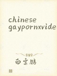 chinesegaypornxvideos