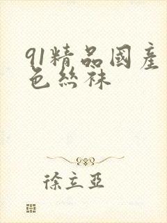 91精品国产黑色丝袜