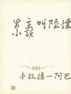 男主叫陆怀安的小说