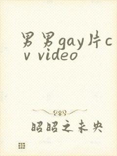 男男gay片cⅴvideo