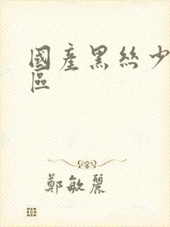 国产黑丝少妇一区