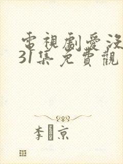 电视剧爱没有错31集免费观看