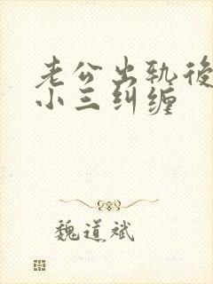 老公出轨后回归小三纠缠封面