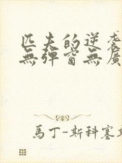 匹夫的逆袭小说无弹窗无广告封面