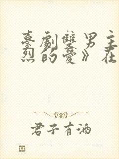 台剧双男主《热烈的爱》在线播放封面