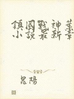 镇国战神叶君临小说最新章节