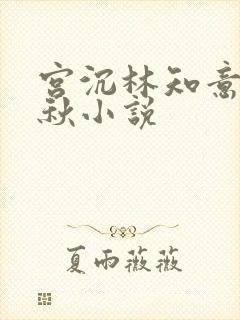 宫沉林知意宋婉秋小说